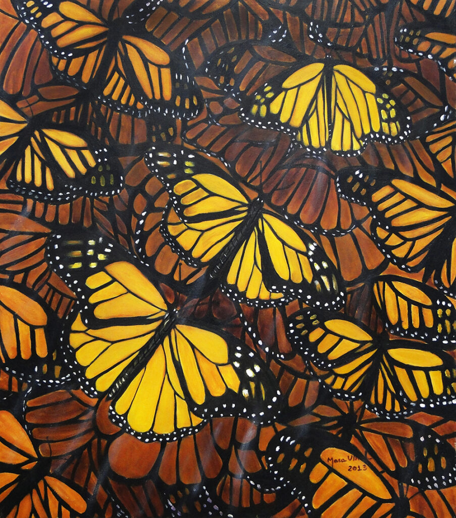 monarcas borboletas